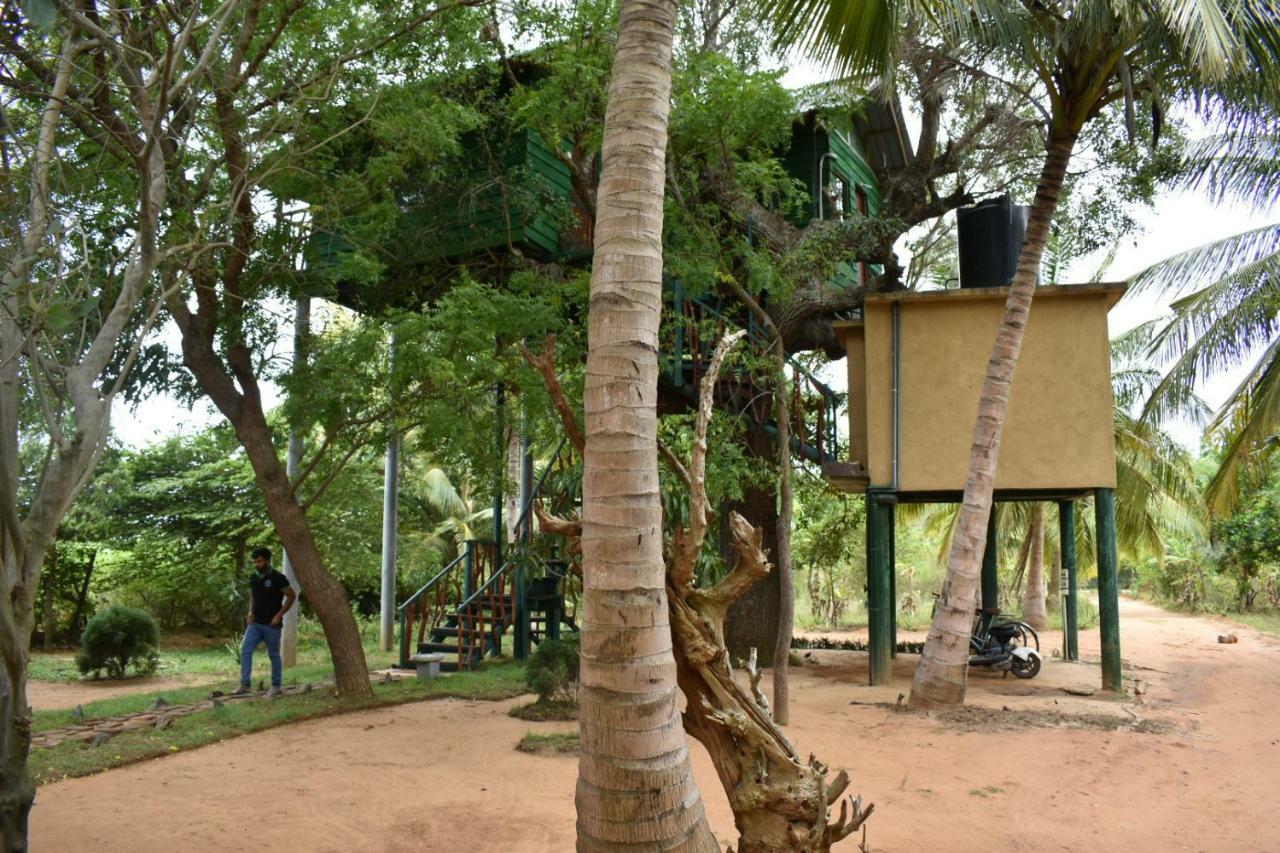Yala Eco Tree House New 호텔 티사마하라마 외부 사진